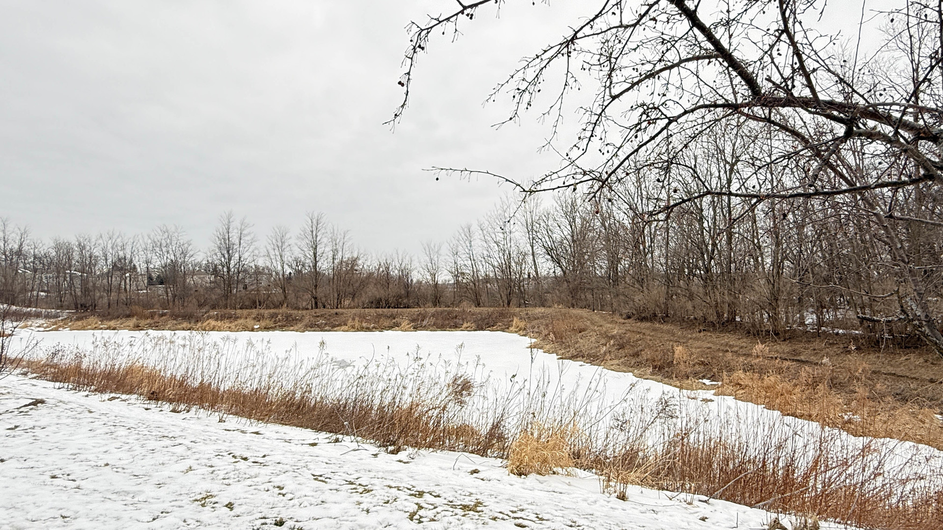 2250 Aurora Drive #24, Pingree Grove, IL 60140