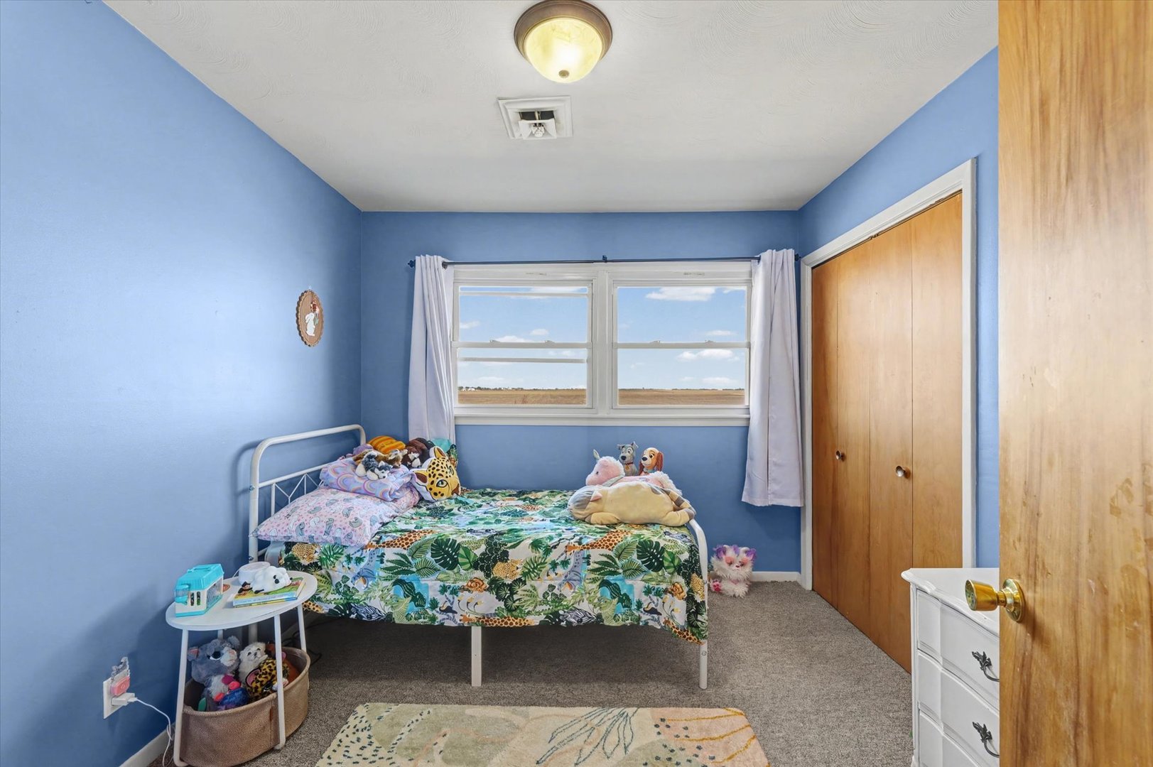 913 E 1st Street, Gibson City, IL 60936