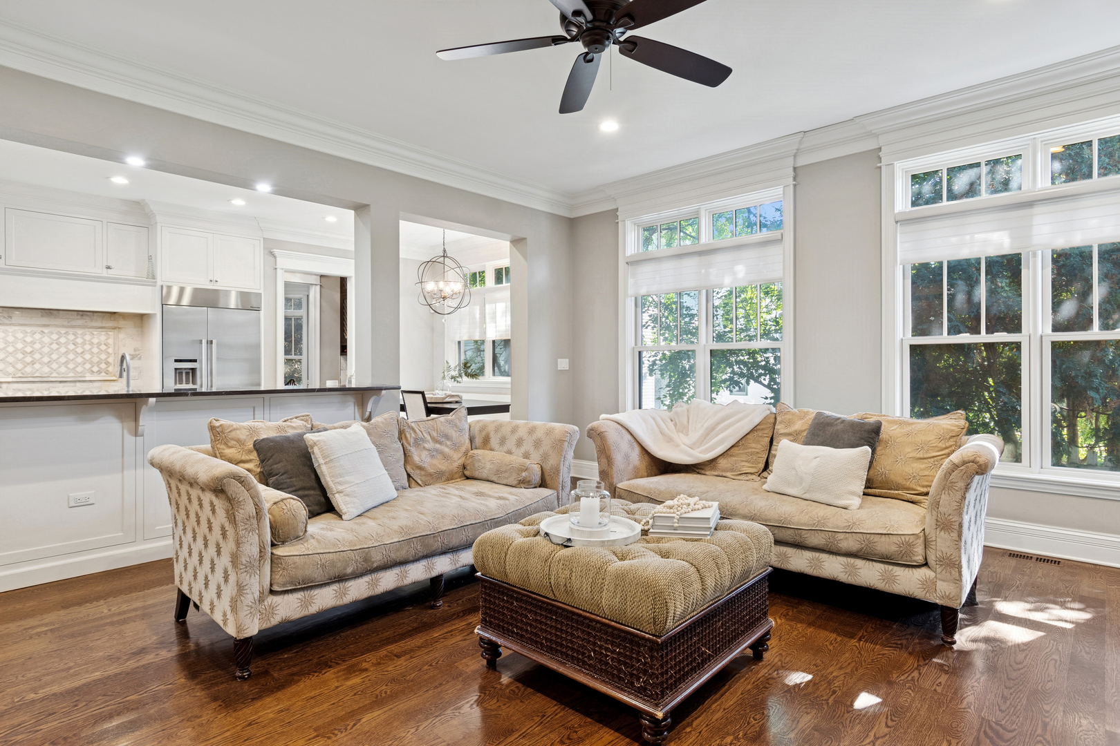 203 S Columbia Street, Naperville, IL 60540