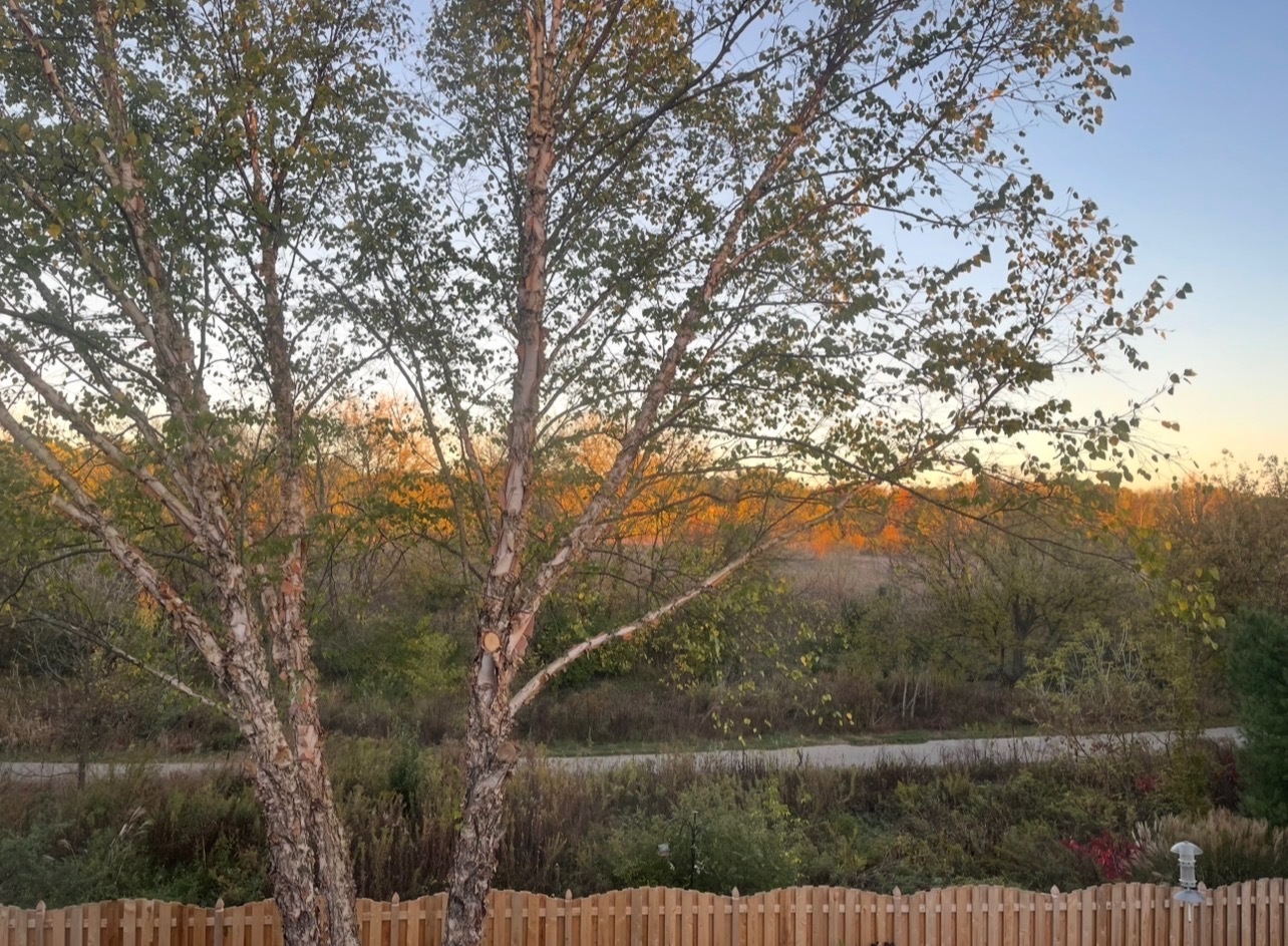 612 Waters Edge Drive, South Elgin, IL 60177