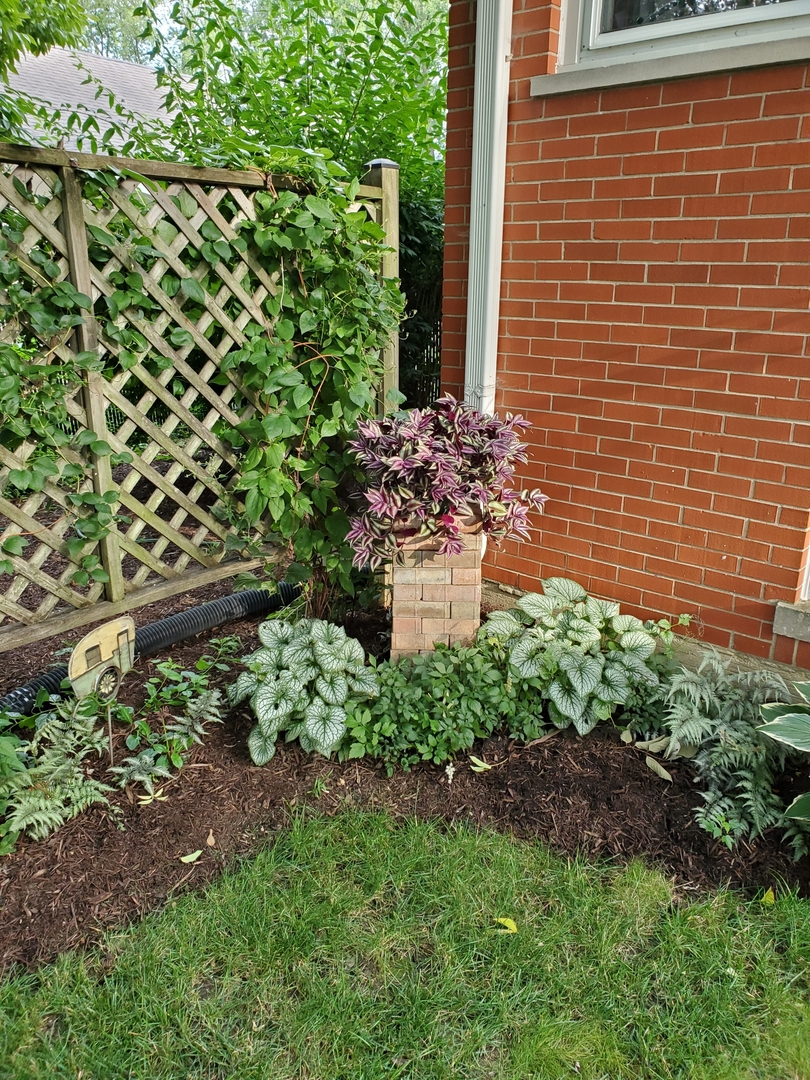 320 W Harrison Road, Lombard, IL 60148