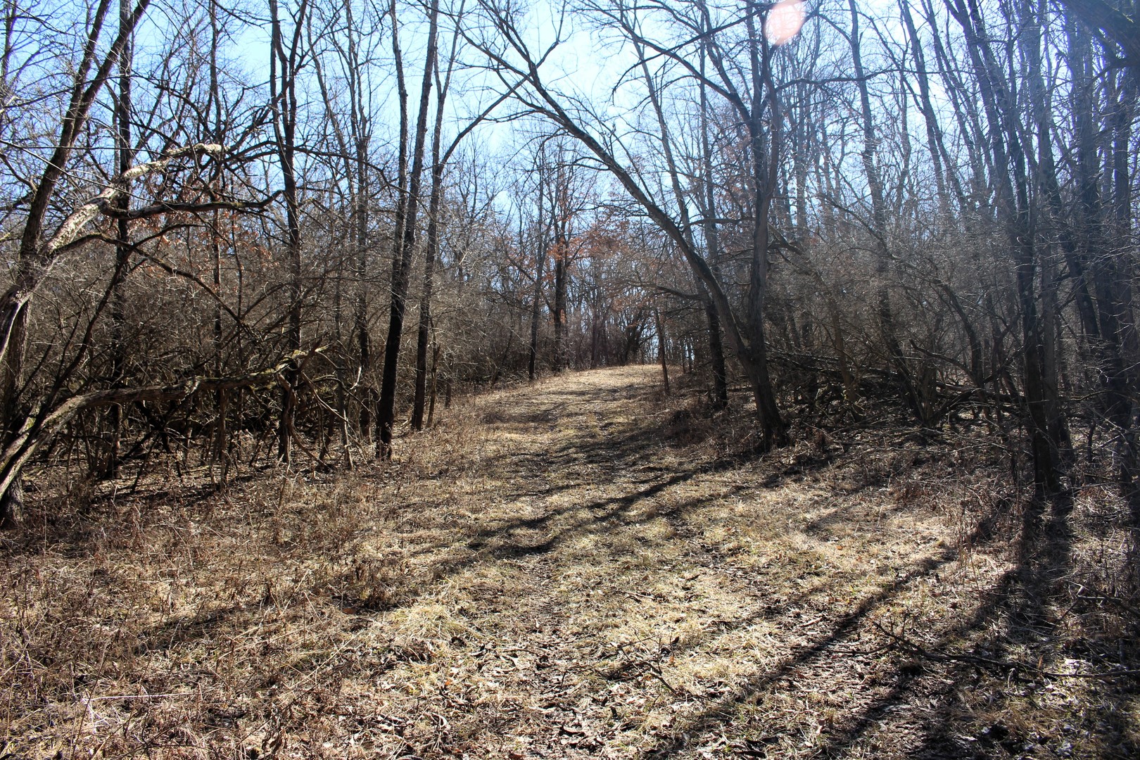 5751 White Pigeon Road, Weldon, IL 61882