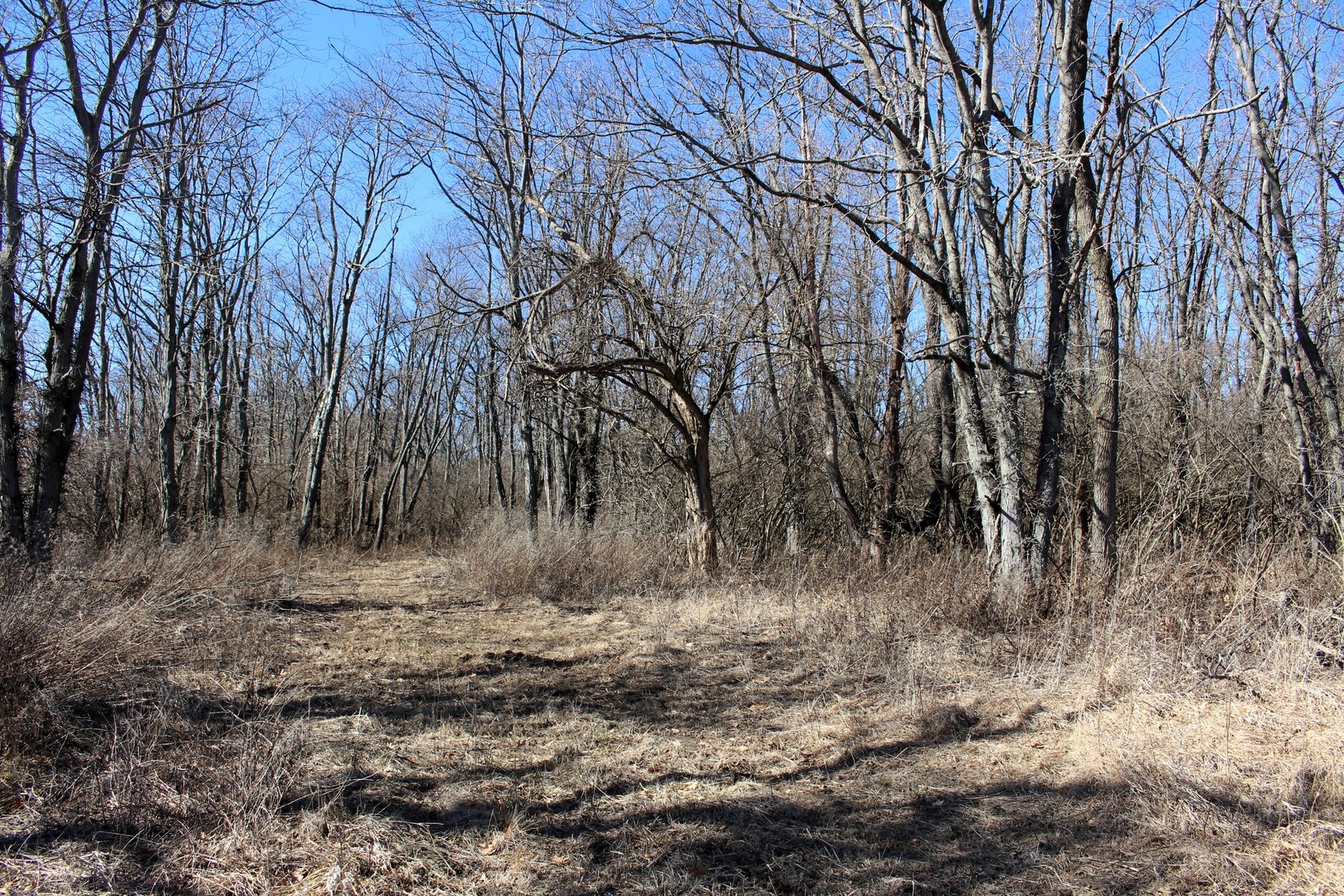 5751 White Pigeon Road, Weldon, IL 61882