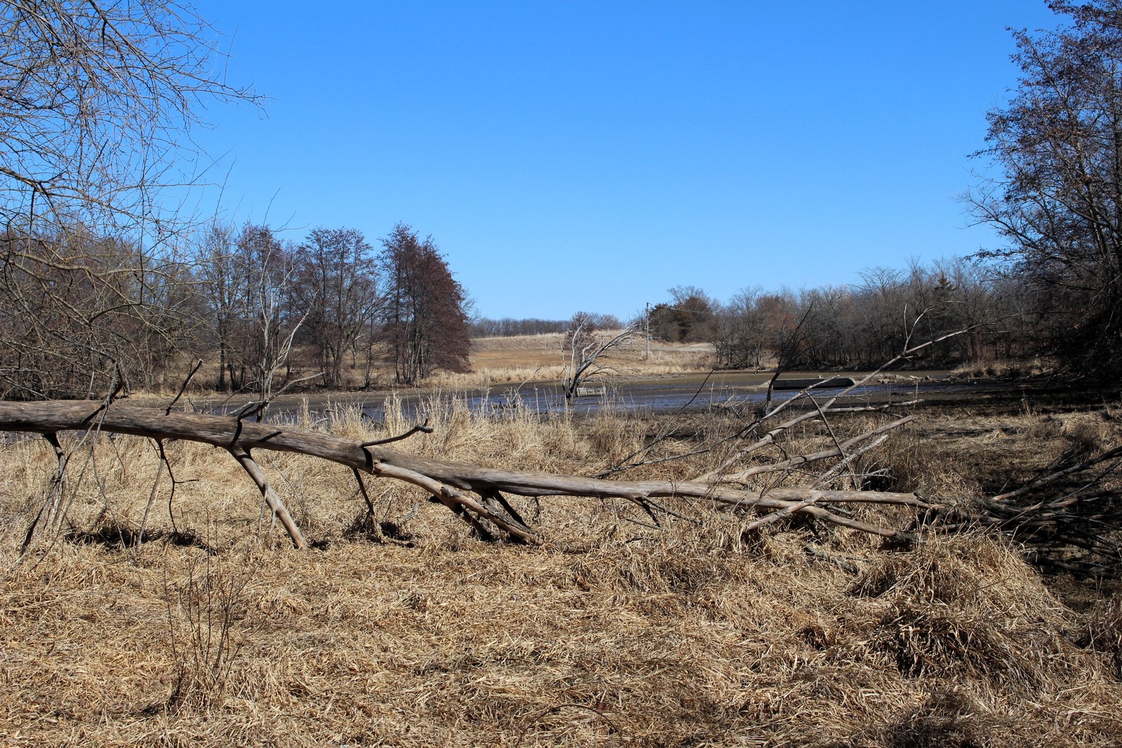 5751 White Pigeon Road, Weldon, IL 61882