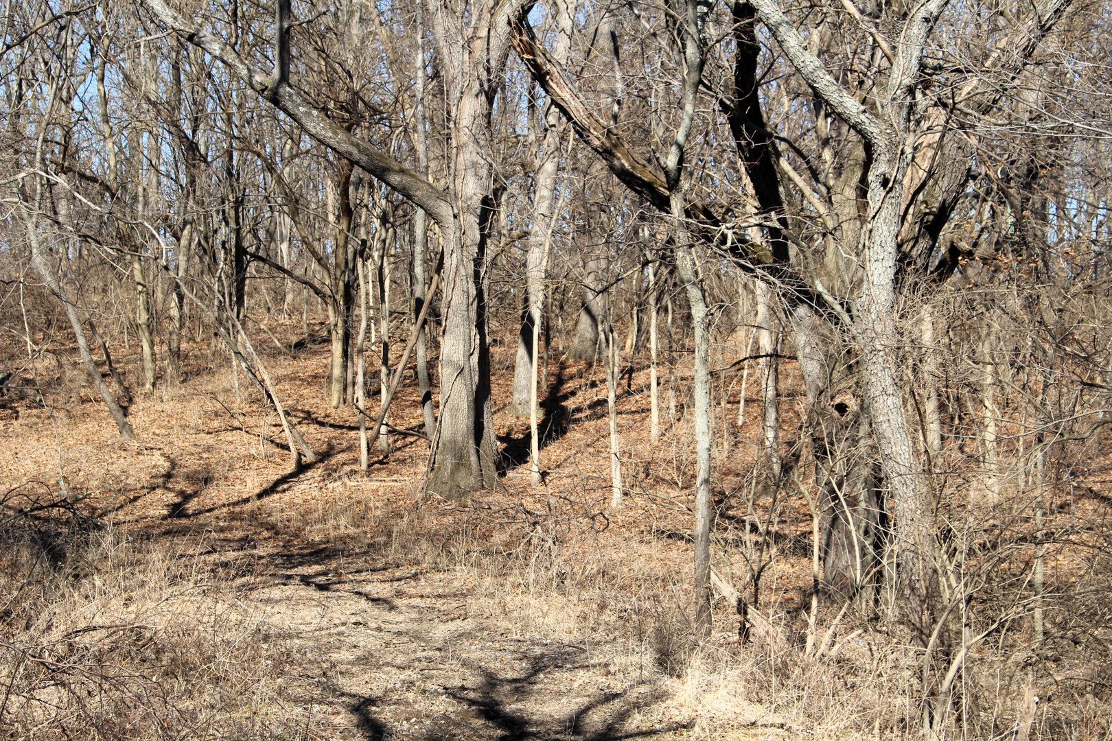 5751 White Pigeon Road, Weldon, IL 61882