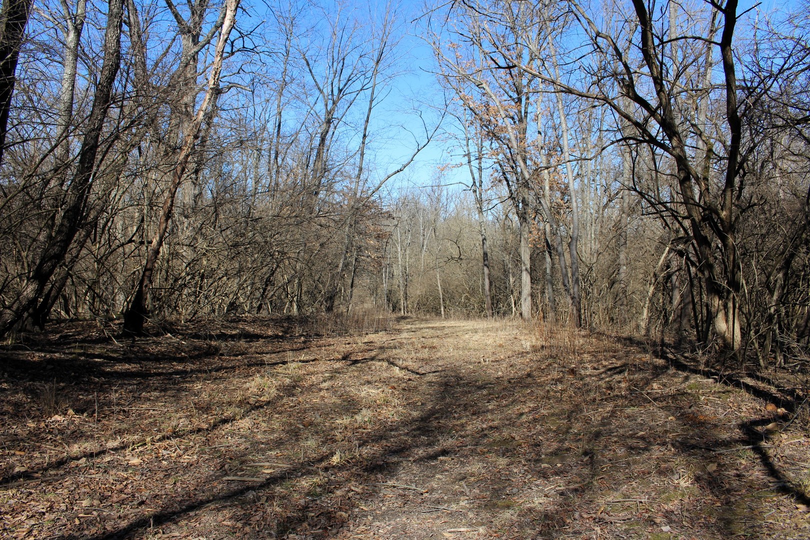 5751 White Pigeon Road, Weldon, IL 61882