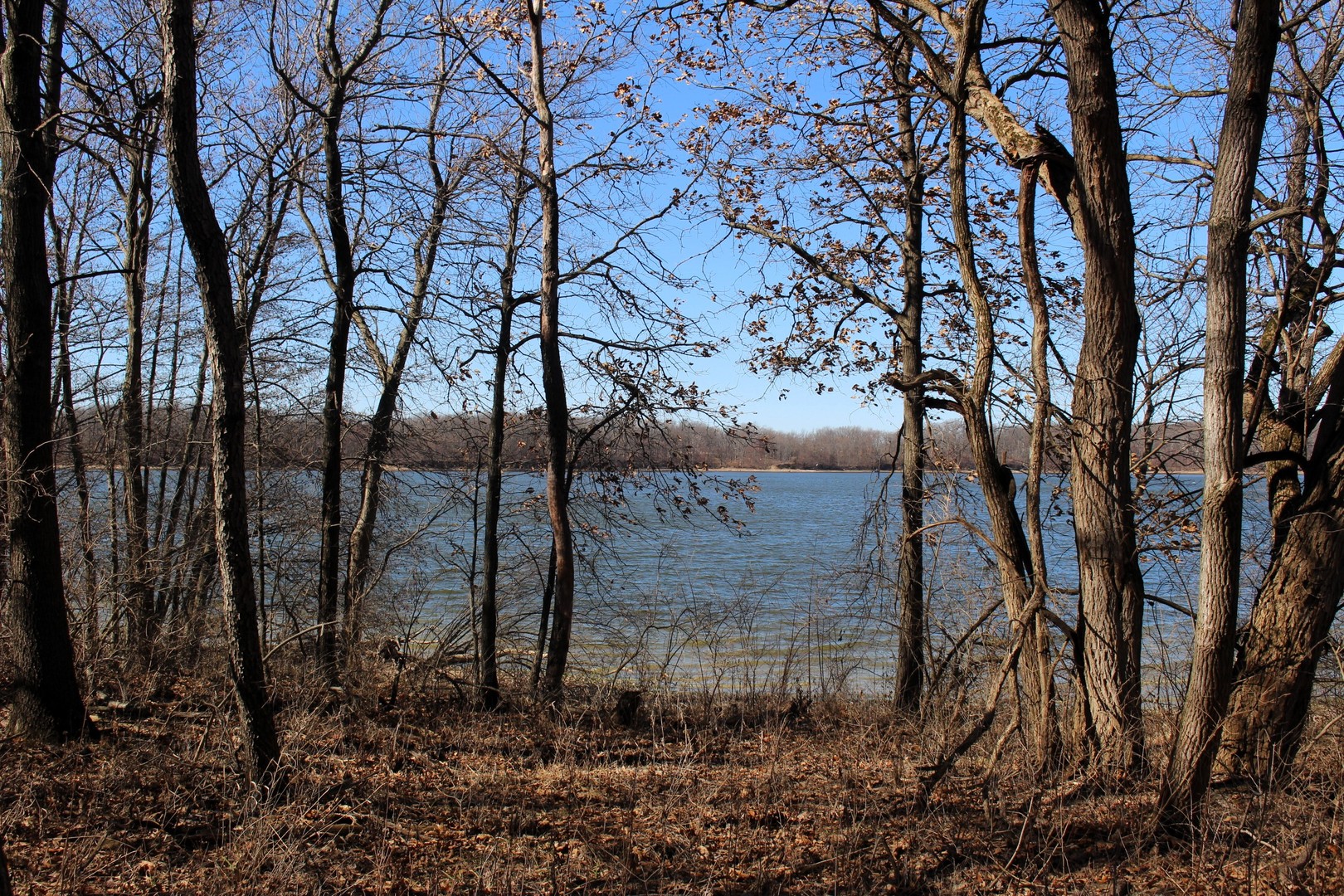 5751 White Pigeon Road, Weldon, IL 61882