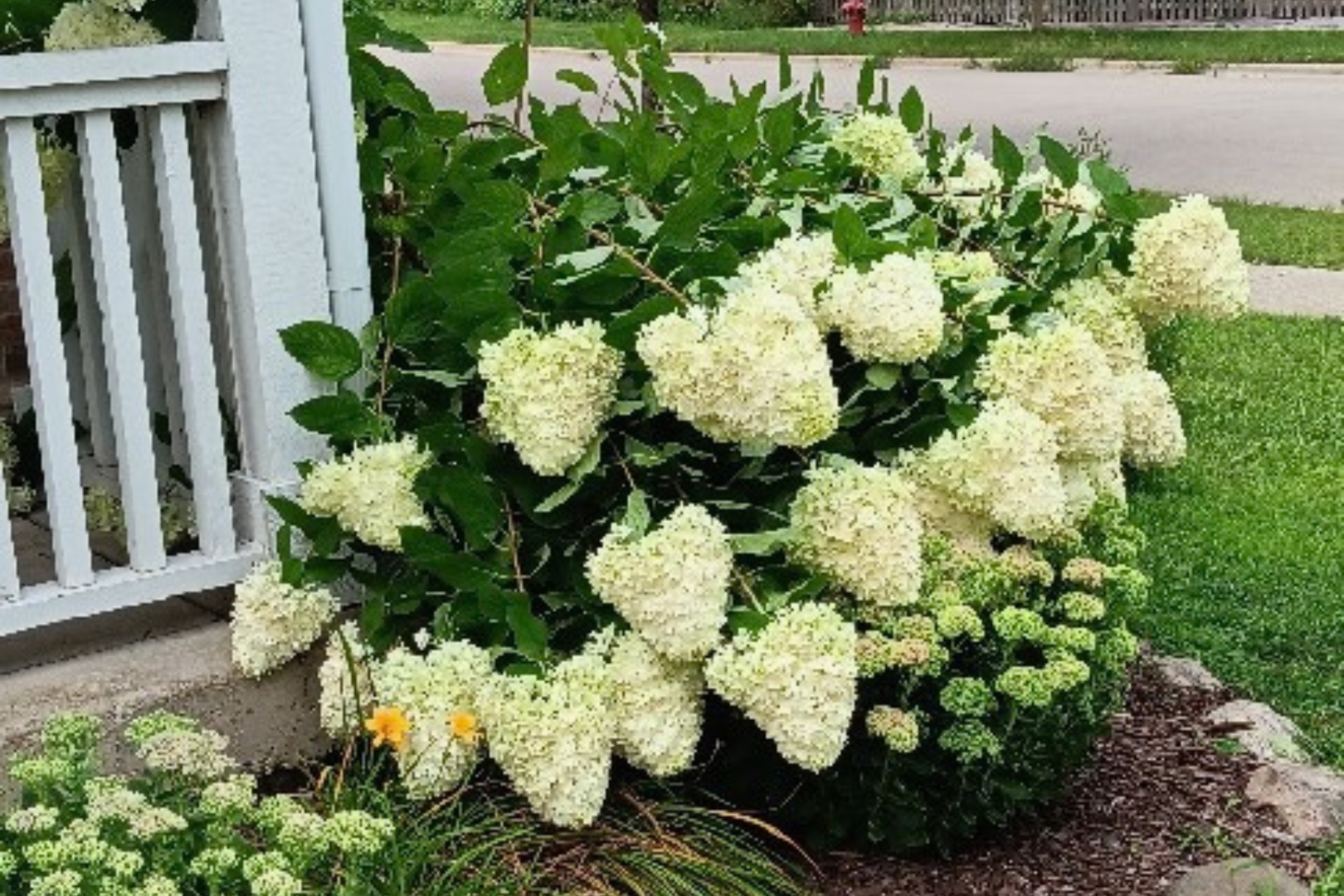 2101 Chad Lane, Montgomery, IL 60538