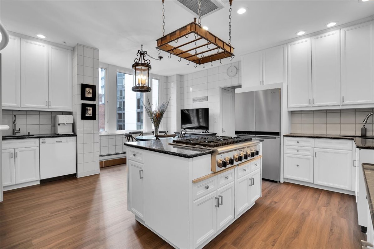 229 E Lake Shore Drive #10E, Chicago, IL 60611