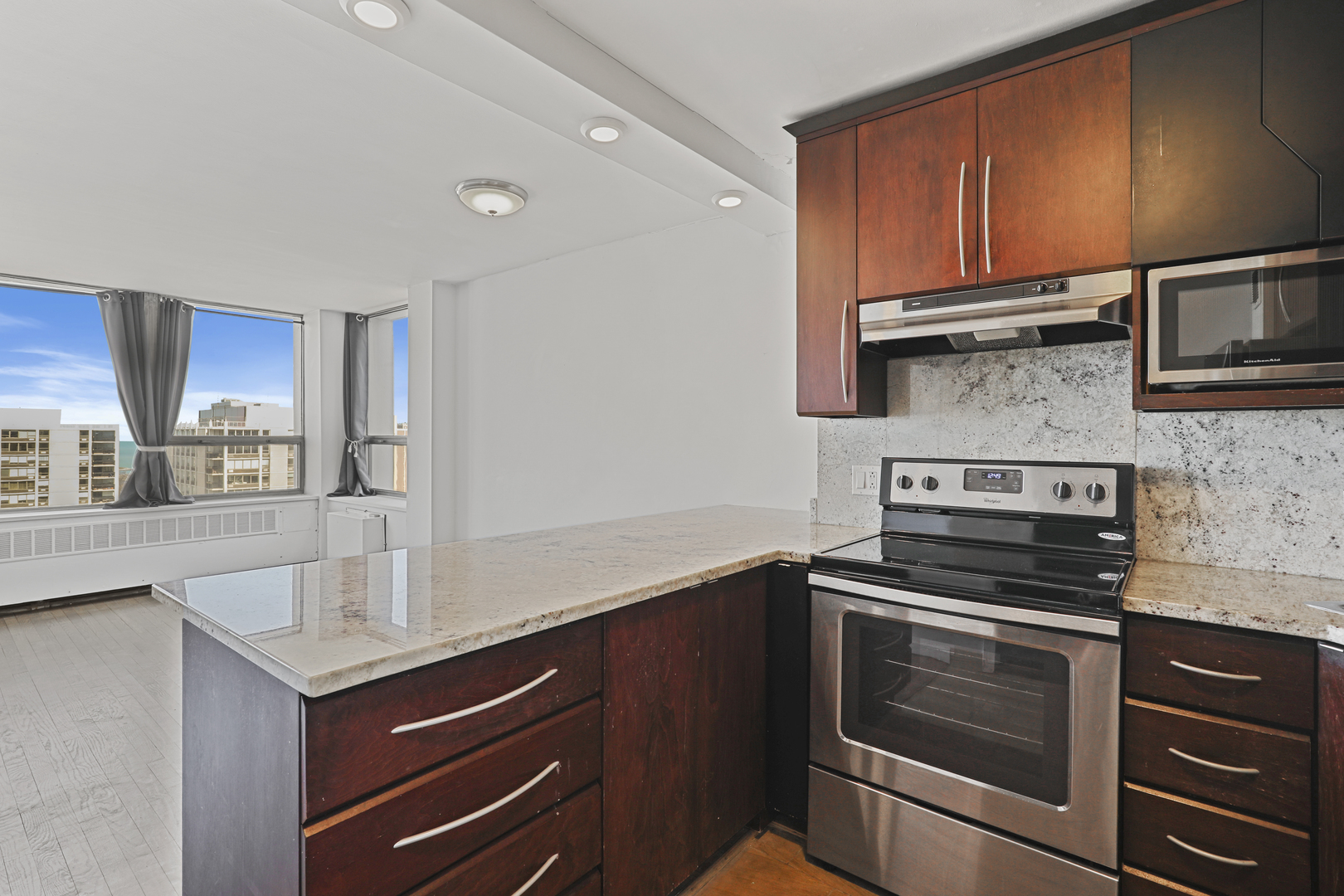 1360 N Sandburg Terrace #2908, Chicago, IL 60610