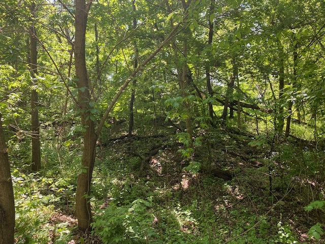 Lots 11 & 12 Ravine Drive, Spring Grove, IL 60081