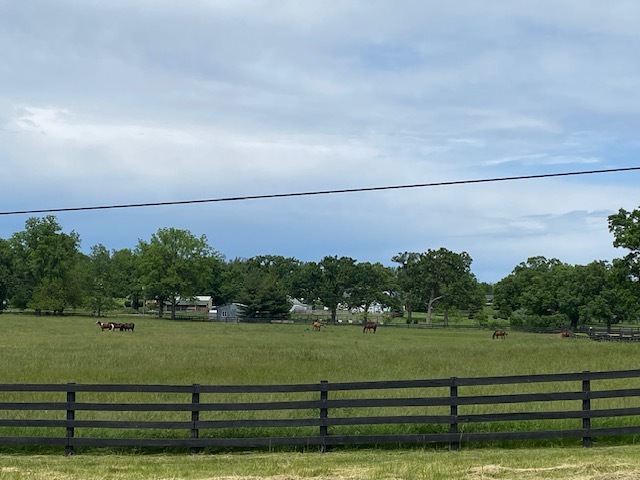 Lot 60 & 61 Beverly Way, Spring Grove, IL 60081