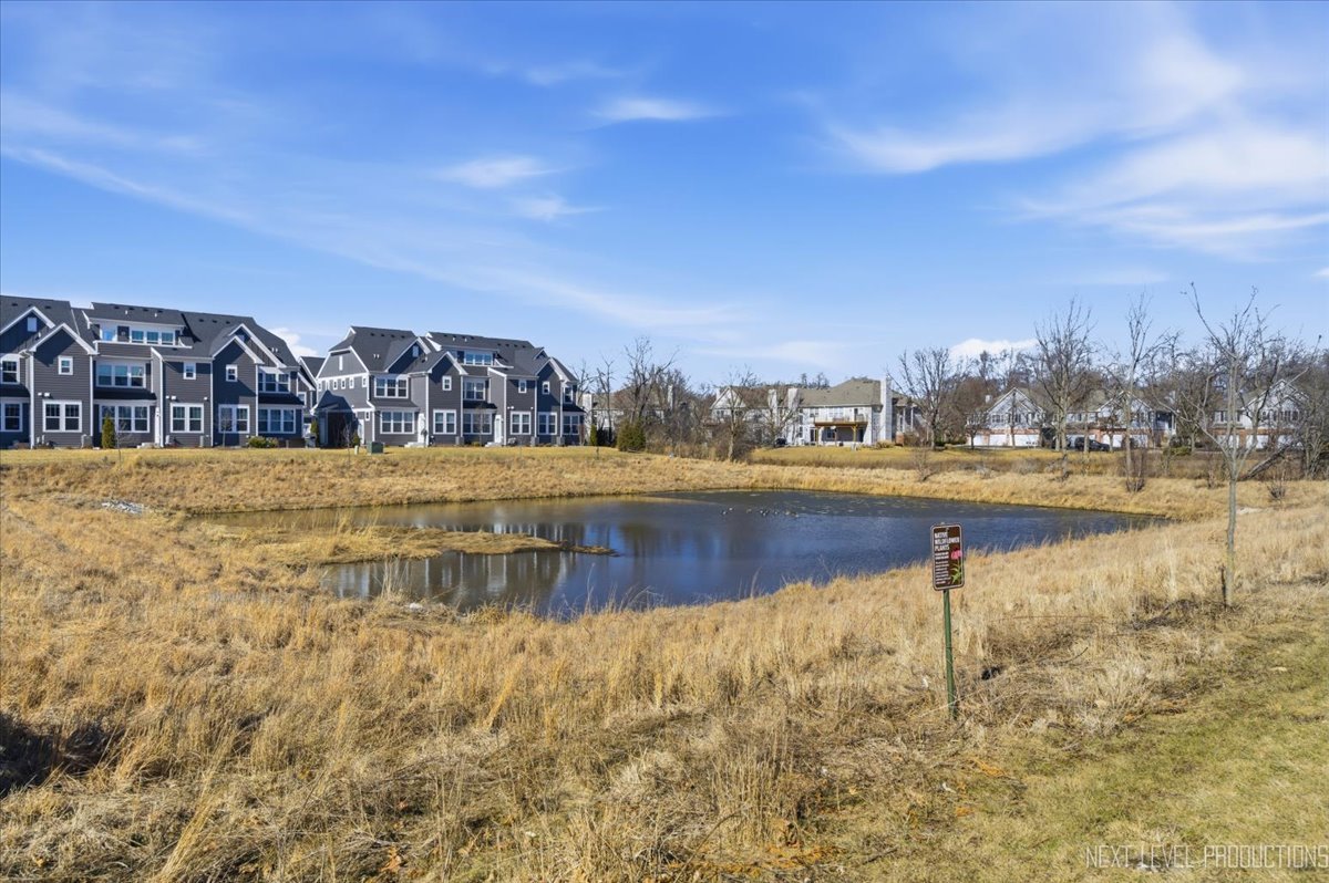 2132 Weatherbee Lane, Naperville, IL 60563