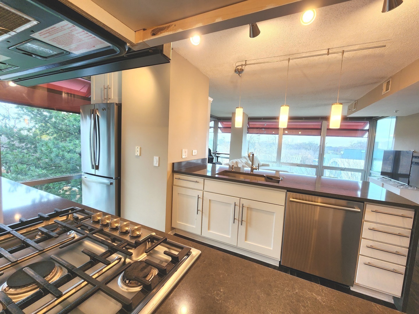 9655 Woods Drive #512, Skokie, IL 60077