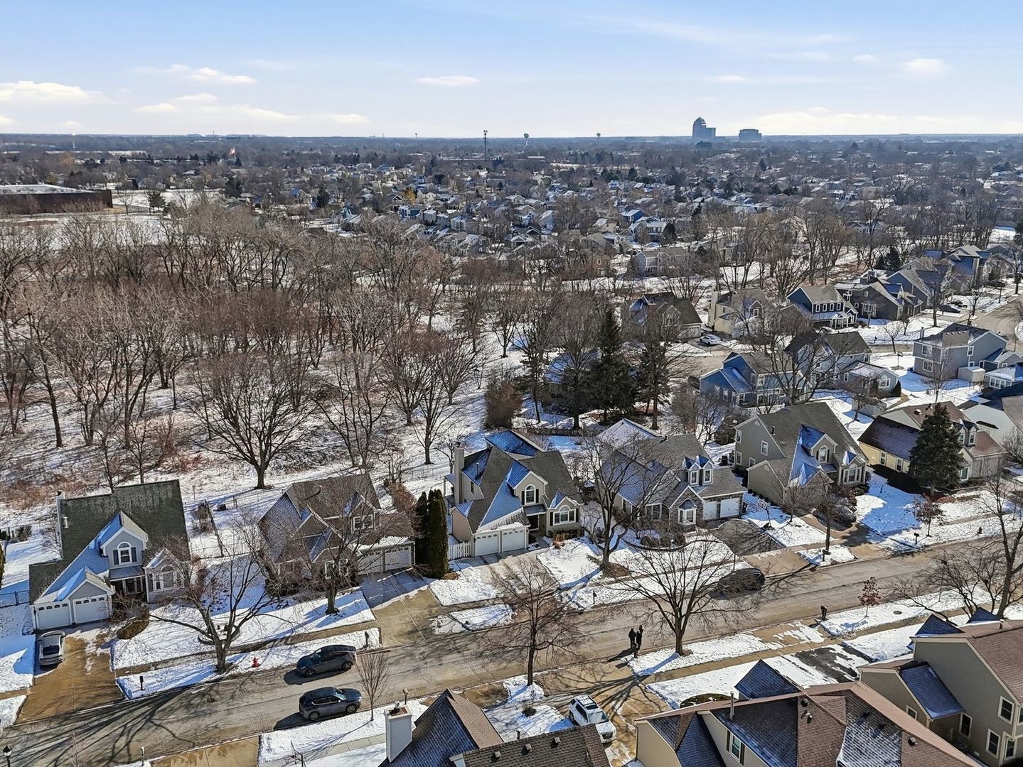 539 Newberry Drive, Elk Grove Village, IL 60007