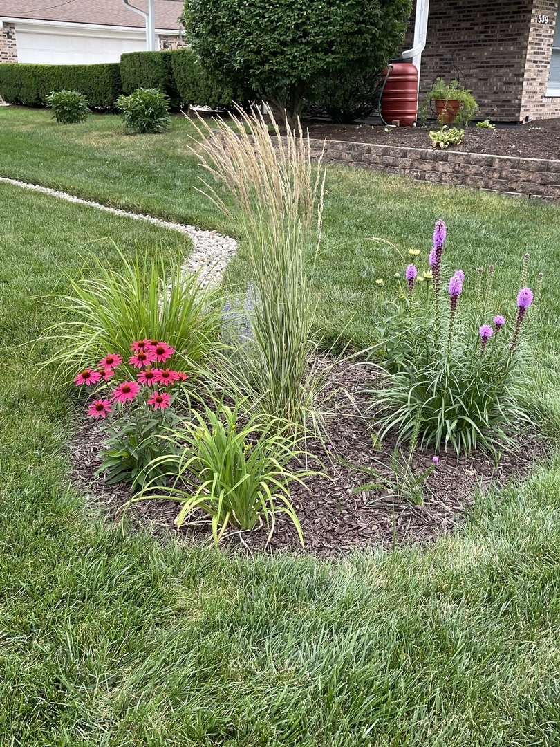 529 Meadow Lane, Lisle, IL 60532