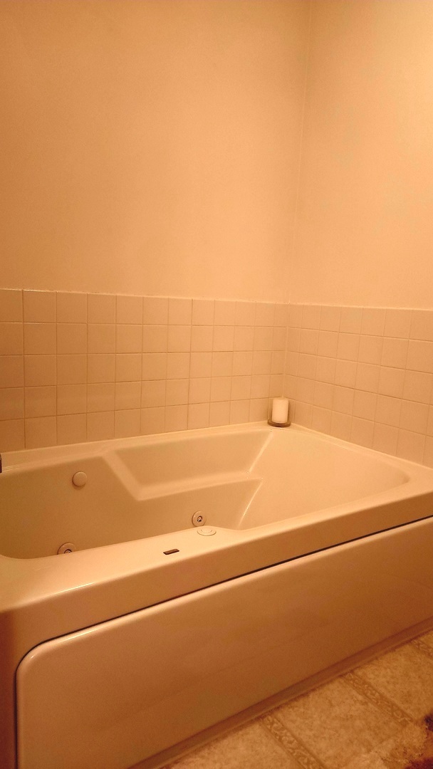 25734 S Bridle Path, Channahon, IL 60410