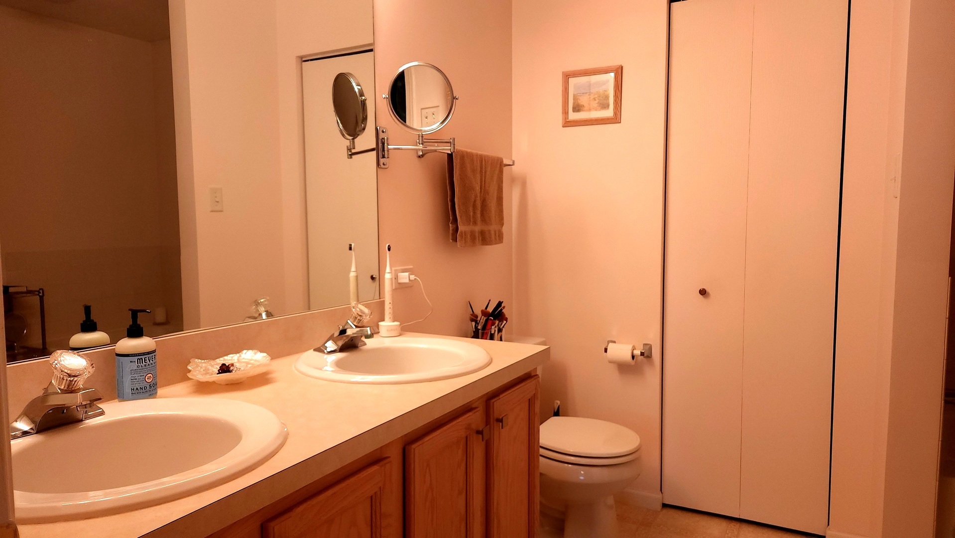 25734 S Bridle Path, Channahon, IL 60410