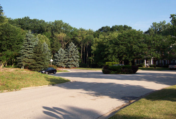 17220 Oak Meadow #5 Oak Meadow Court Court, Homer Glen, IL 60491