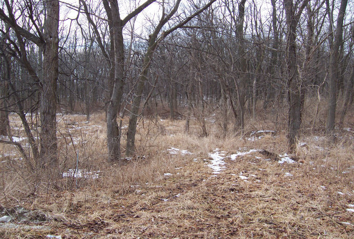 17220 Oak Meadow #5 Oak Meadow Court Court, Homer Glen, IL 60491