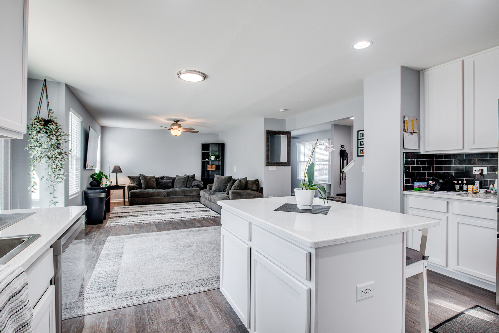 217 Kristen Street, Plano, IL 60545