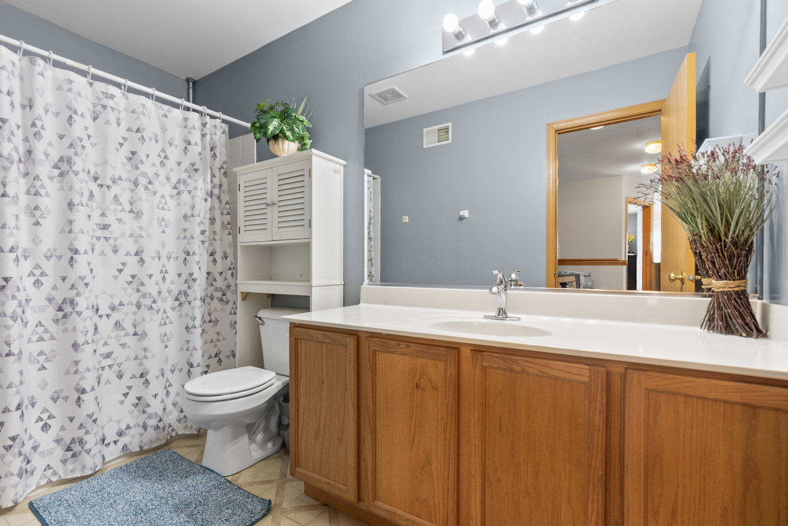 1896 Sedgegrass Trail, Aurora, IL 60504