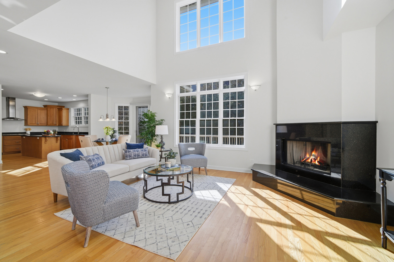 21757 W Jupiter Court, Ivanhoe, IL 60060