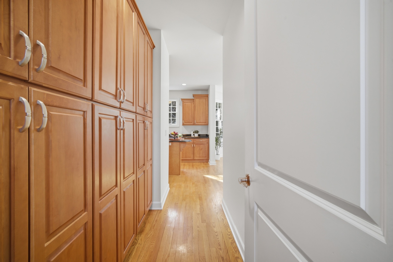 21757 W Jupiter Court, Ivanhoe, IL 60060