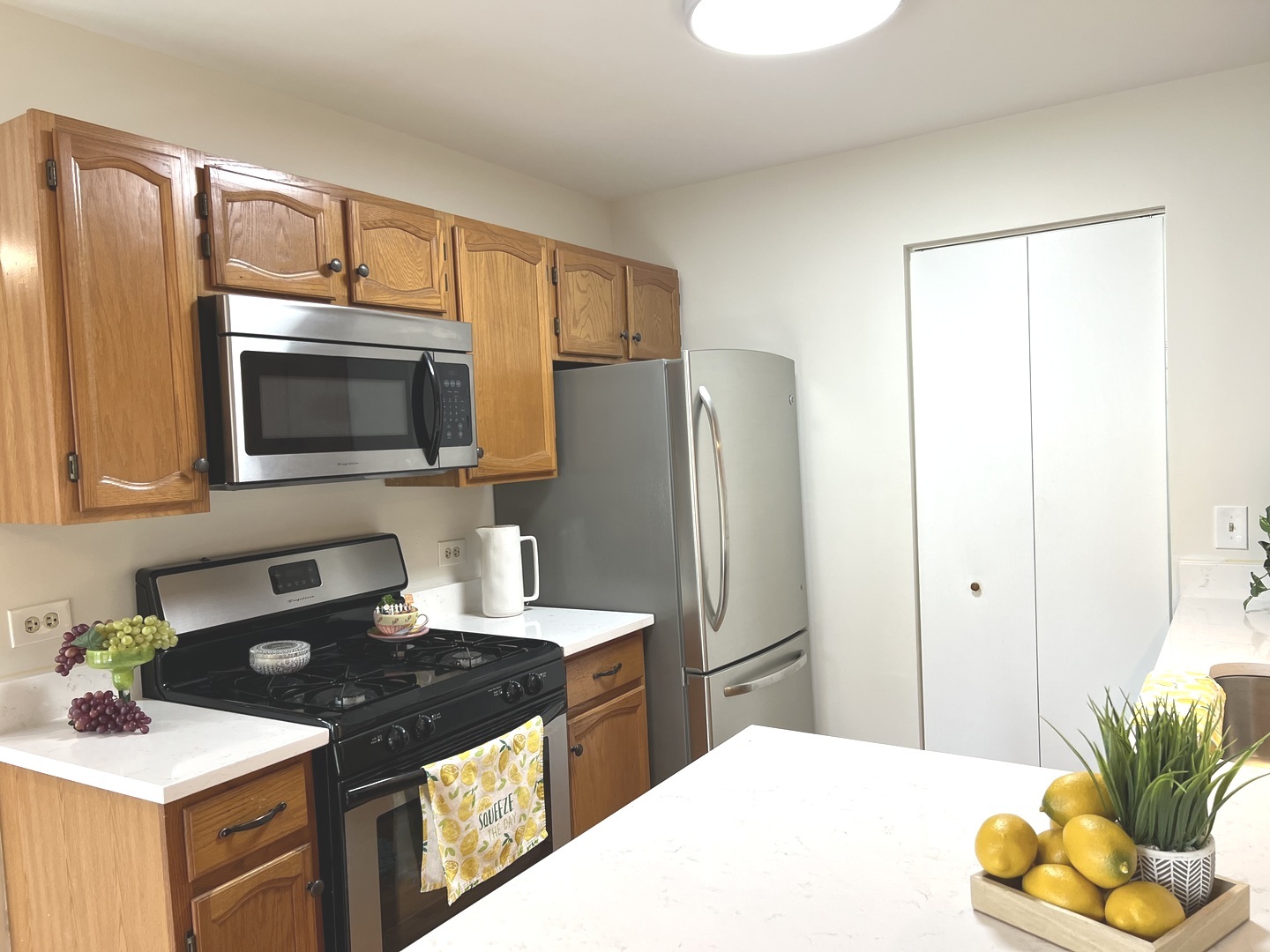 652 Mallard Court #C1, Bartlett, IL 60103