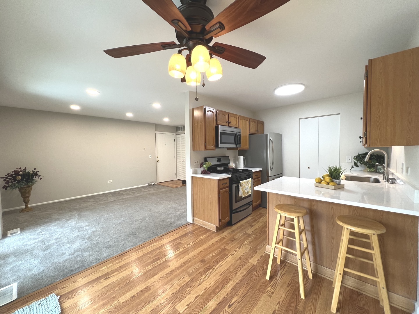 652 Mallard Court #C1, Bartlett, IL 60103