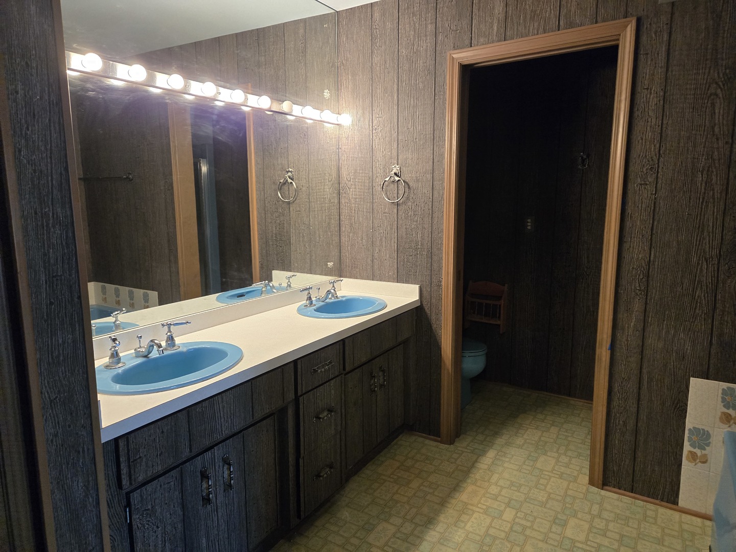 1663 E Rietveld Drive, Crete, IL 60417