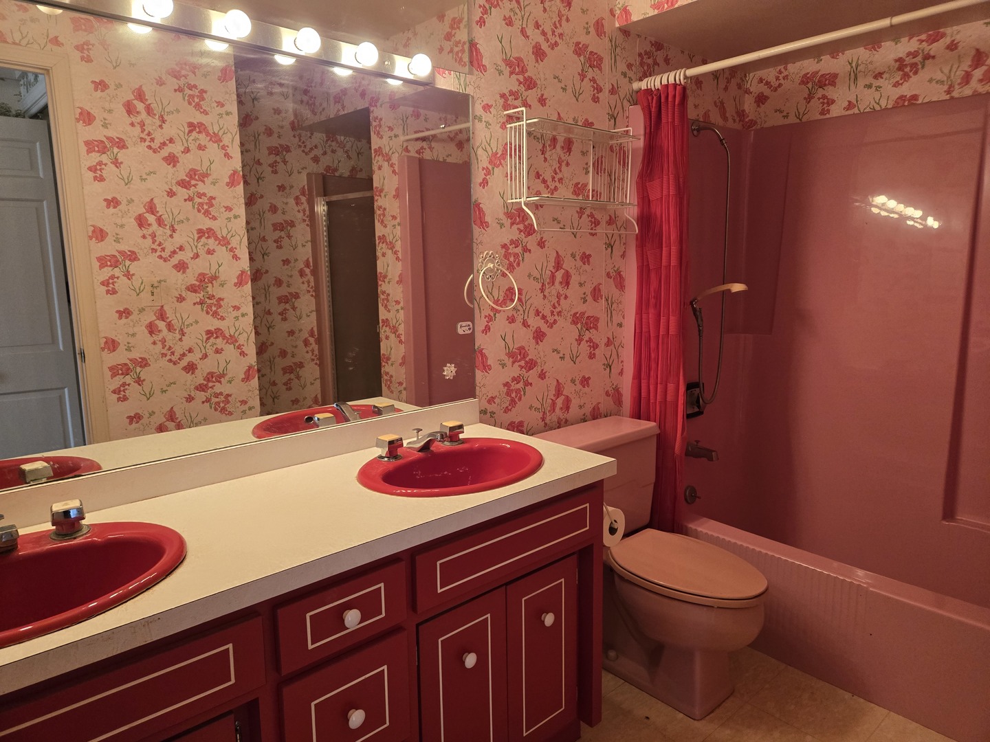 1663 E Rietveld Drive, Crete, IL 60417