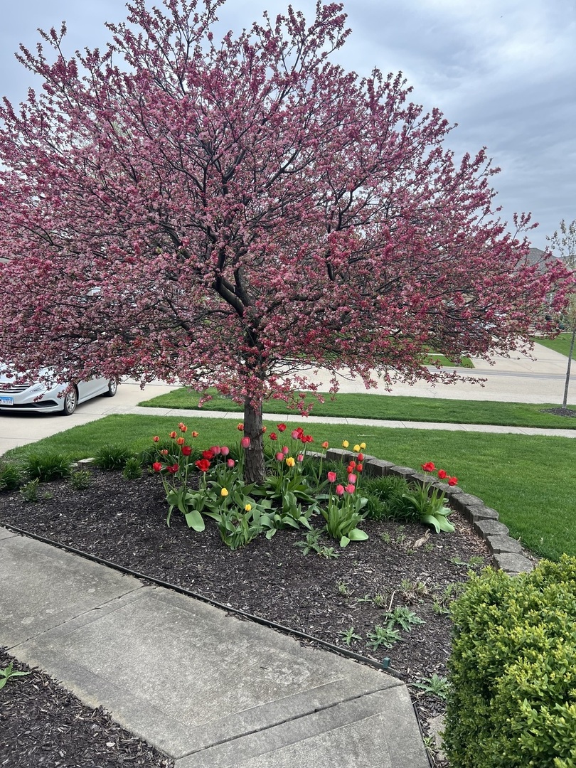 550 Doxbury Lane, New Lenox, IL 60451