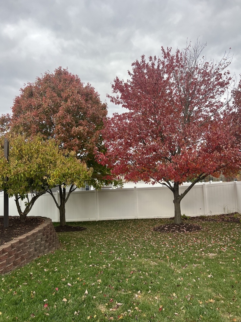 550 Doxbury Lane, New Lenox, IL 60451