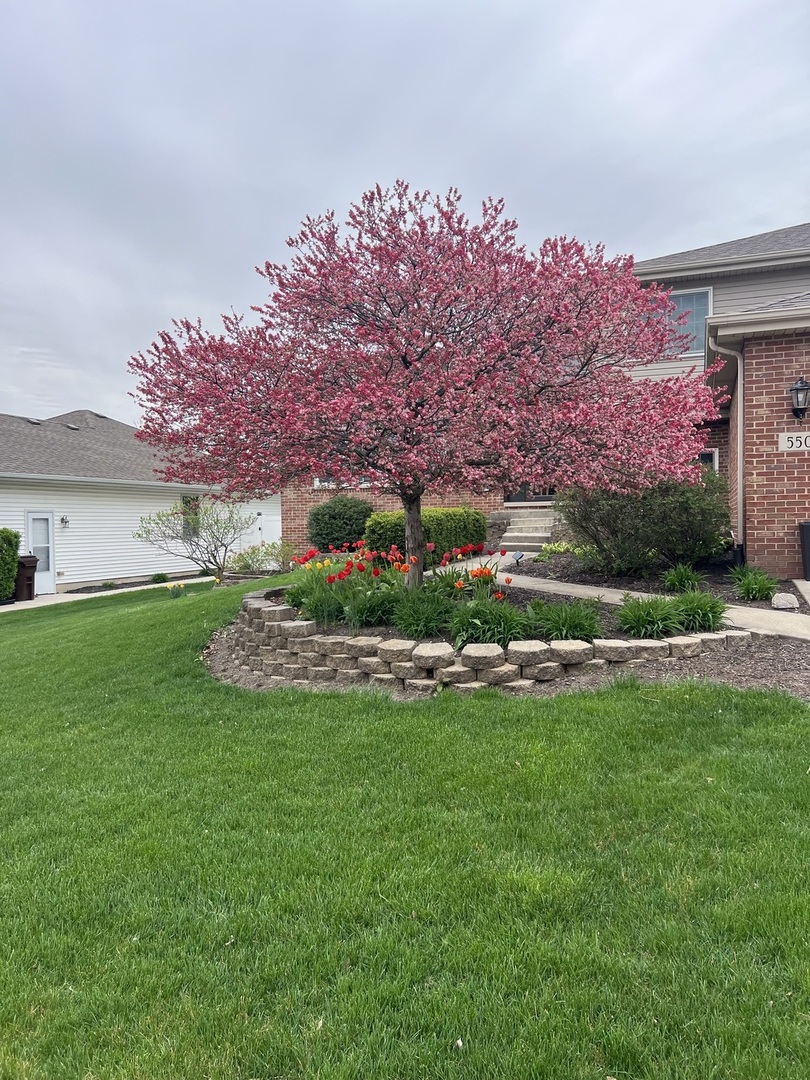 550 Doxbury Lane, New Lenox, IL 60451