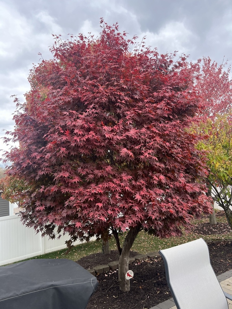 550 Doxbury Lane, New Lenox, IL 60451