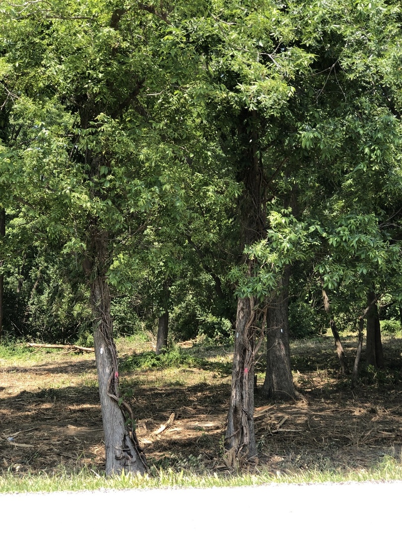 12940 Hadley #3 Hadley Road, Homer Glen, IL 60491