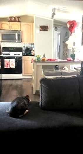 7240 107th Street #136, Worth, IL 60482