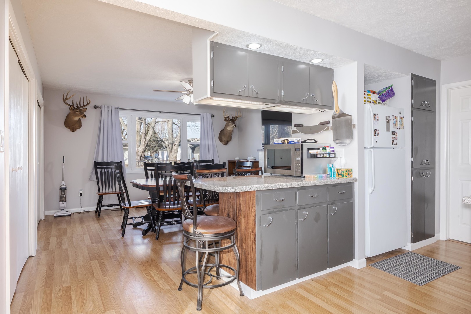 8198 Pine Avenue, Downs, IL 61736