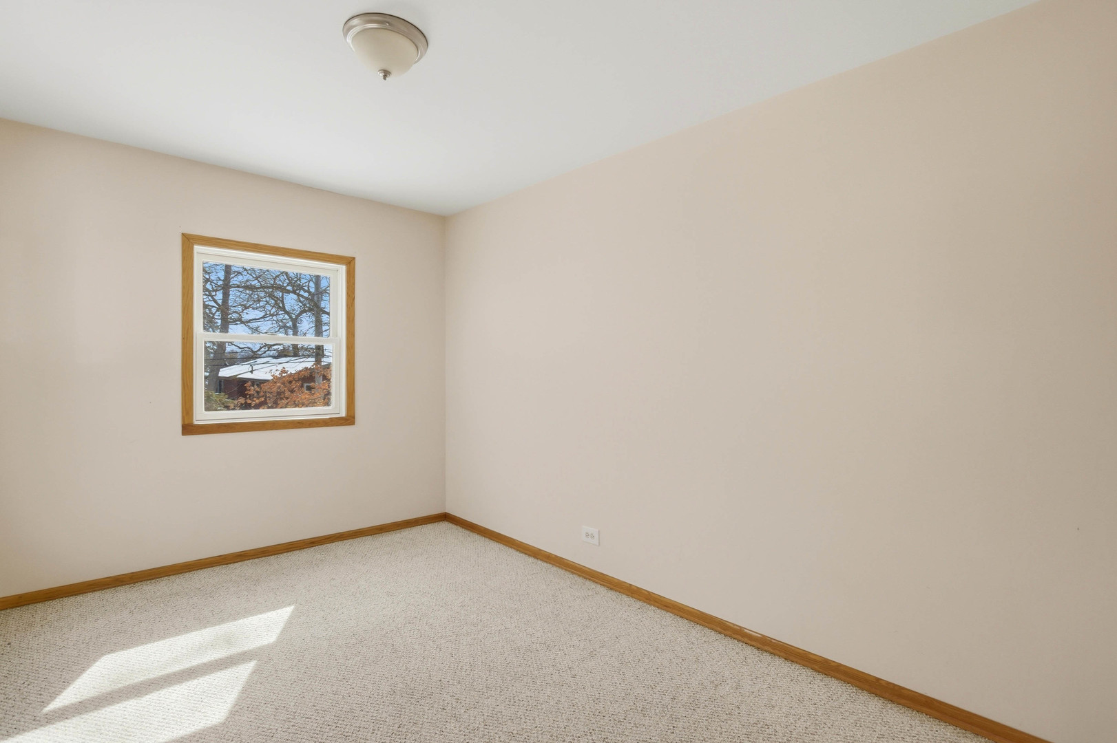 21870 W Lake Avenue, Round Lake, IL 60073