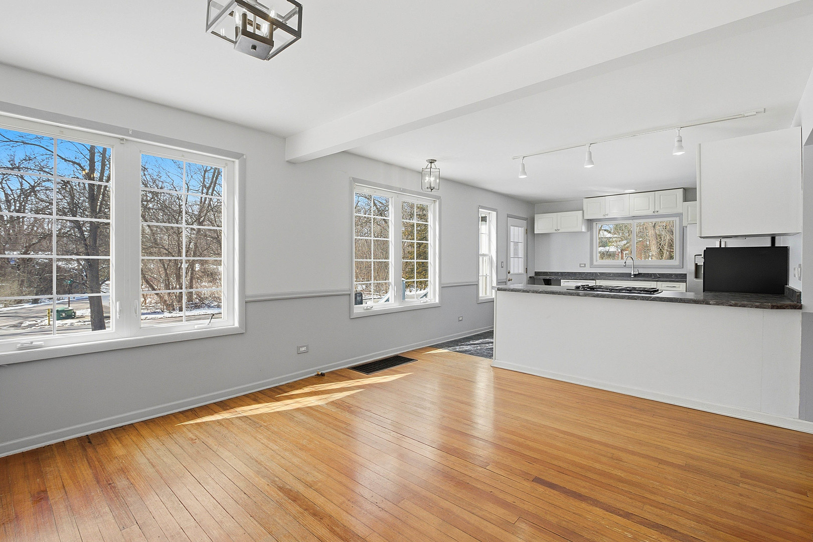 21870 W Lake Avenue, Round Lake, IL 60073