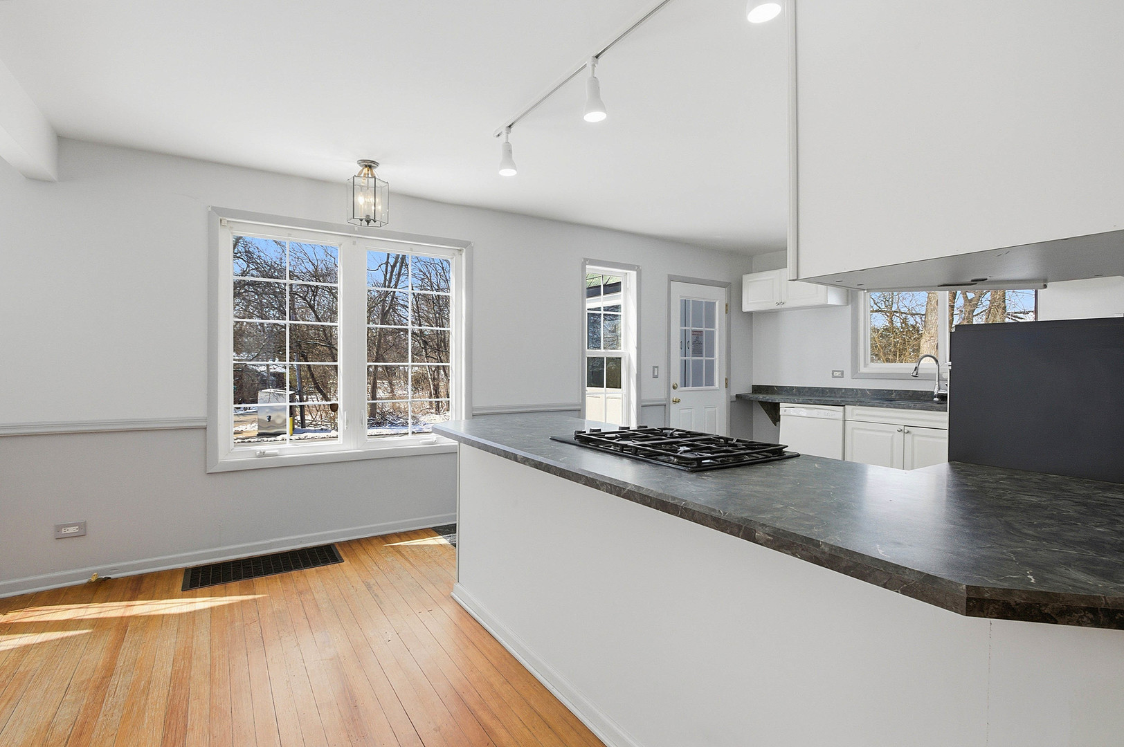 21870 W Lake Avenue, Round Lake, IL 60073