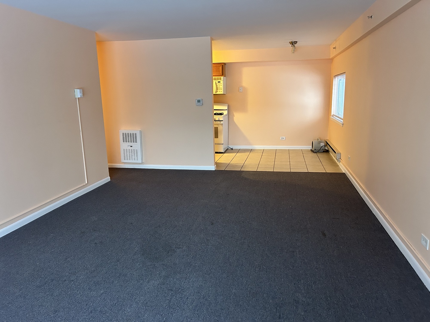 1845 White Chapel Drive #2A, Mount Prospect, IL 60056