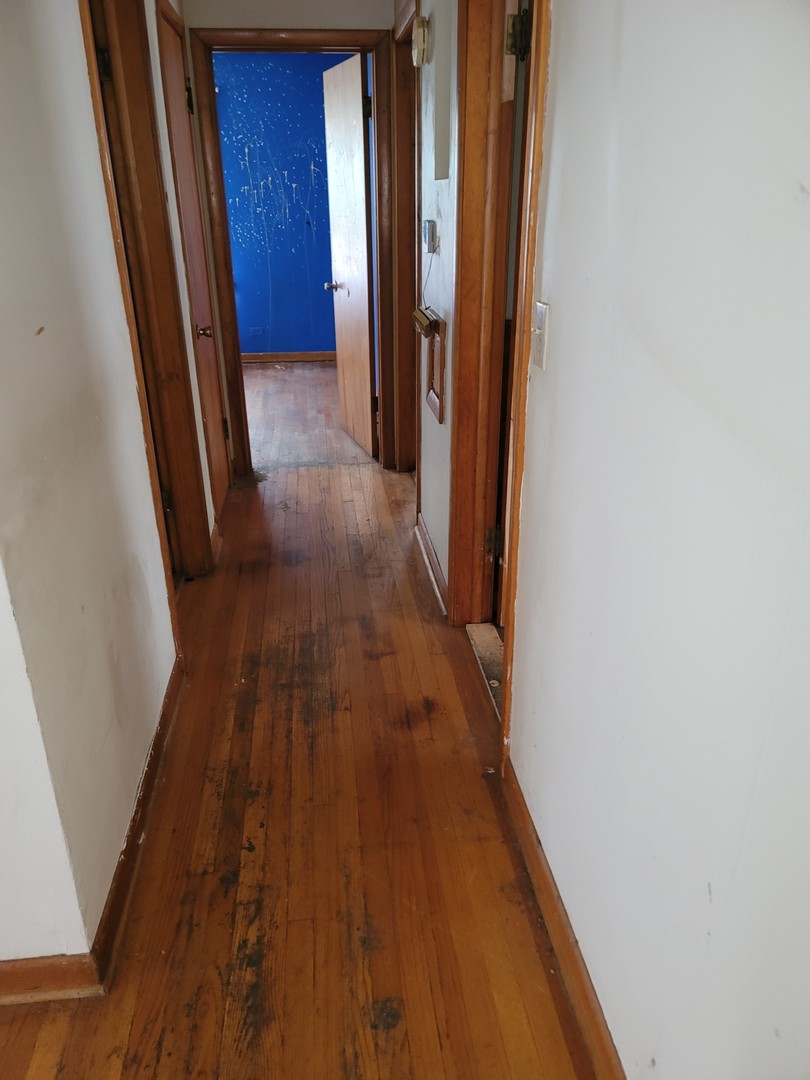 213 S Summit Street, Wheaton, IL 60187