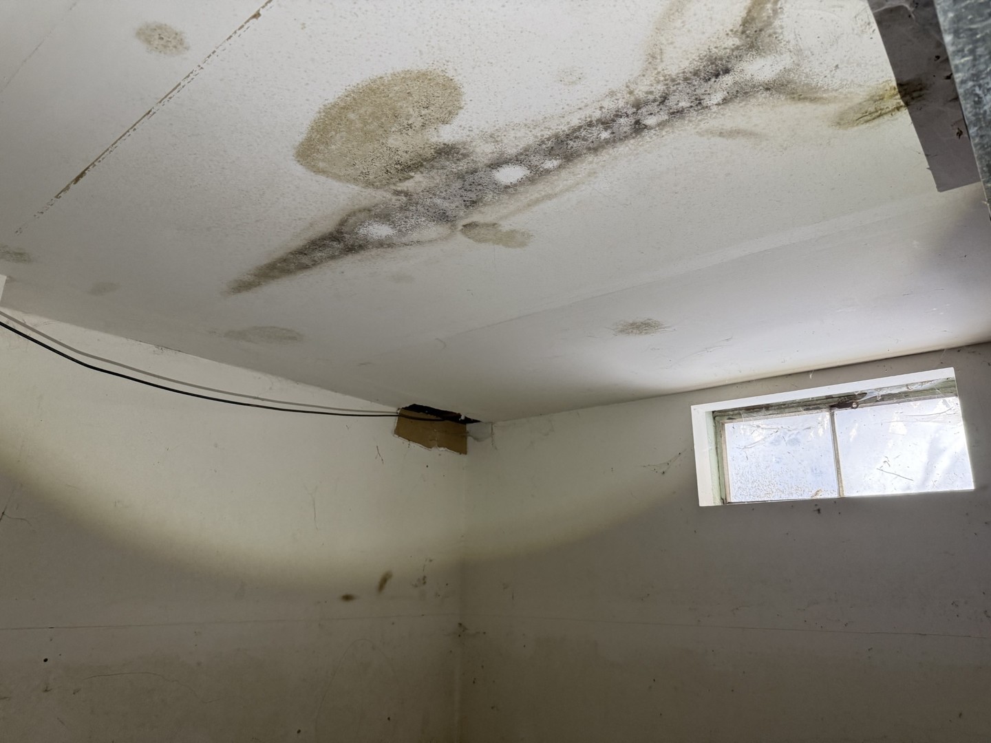 213 S Summit Street, Wheaton, IL 60187