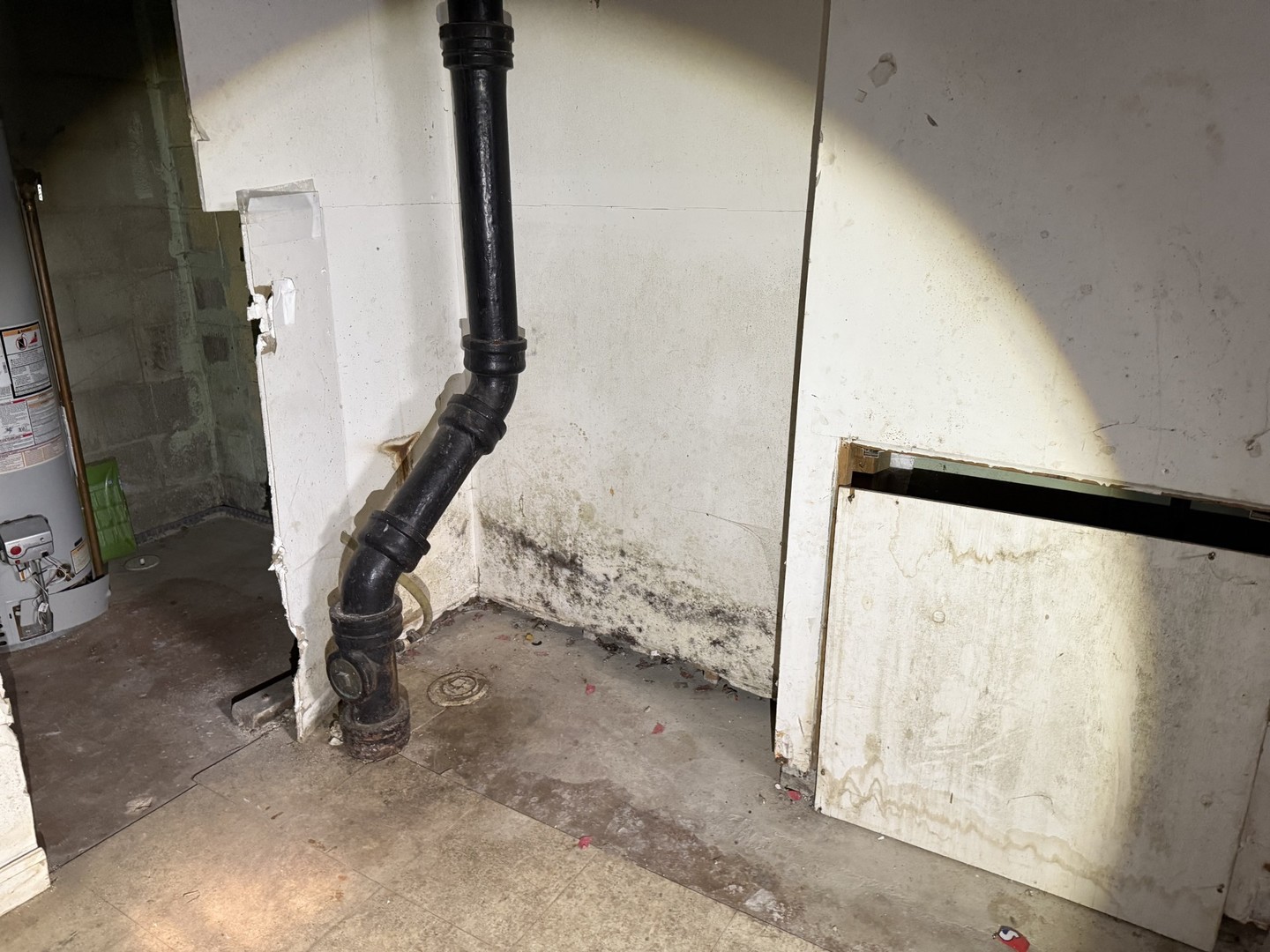 213 S Summit Street, Wheaton, IL 60187