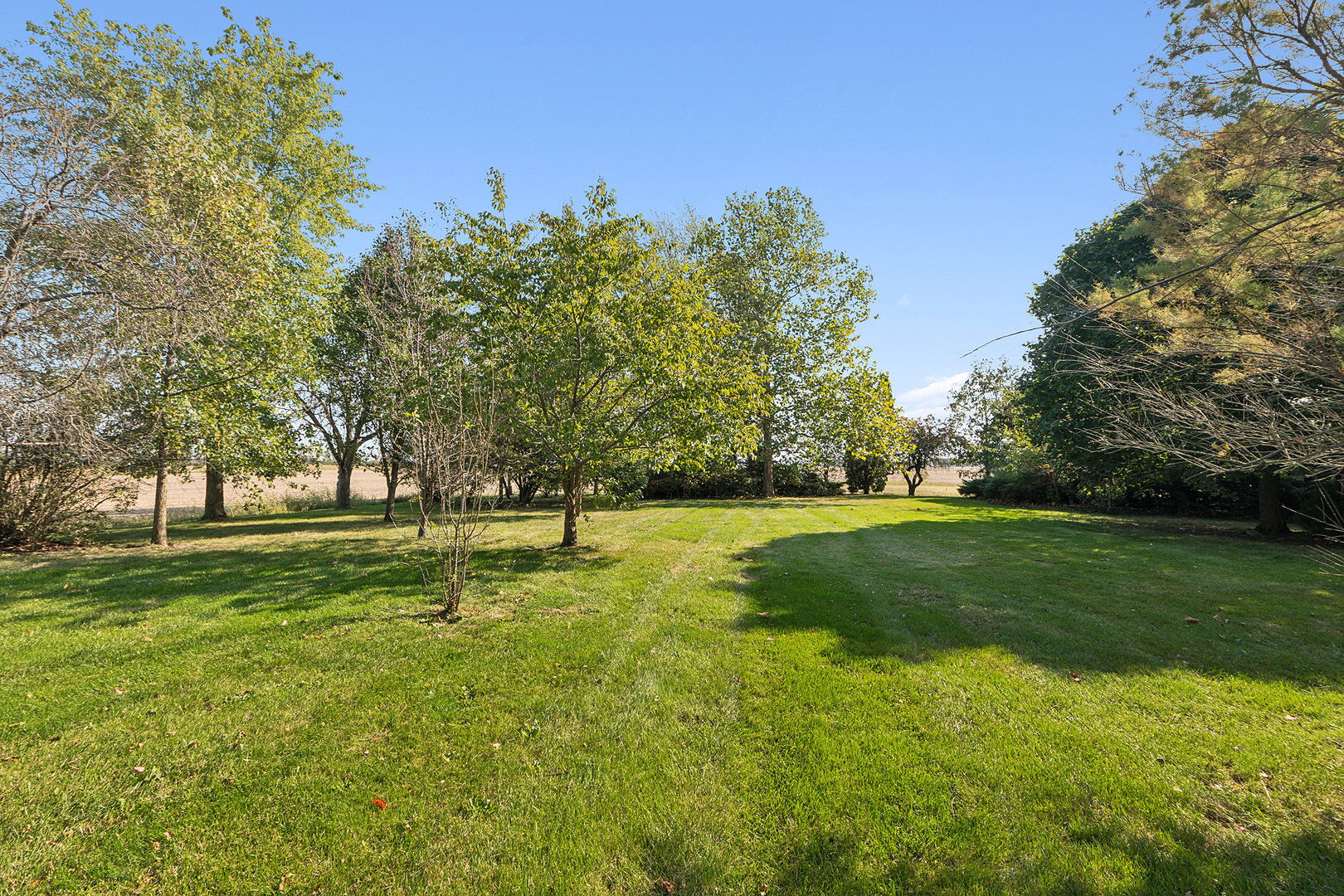 26811 S Kankakee Street, Manhattan, IL 60442