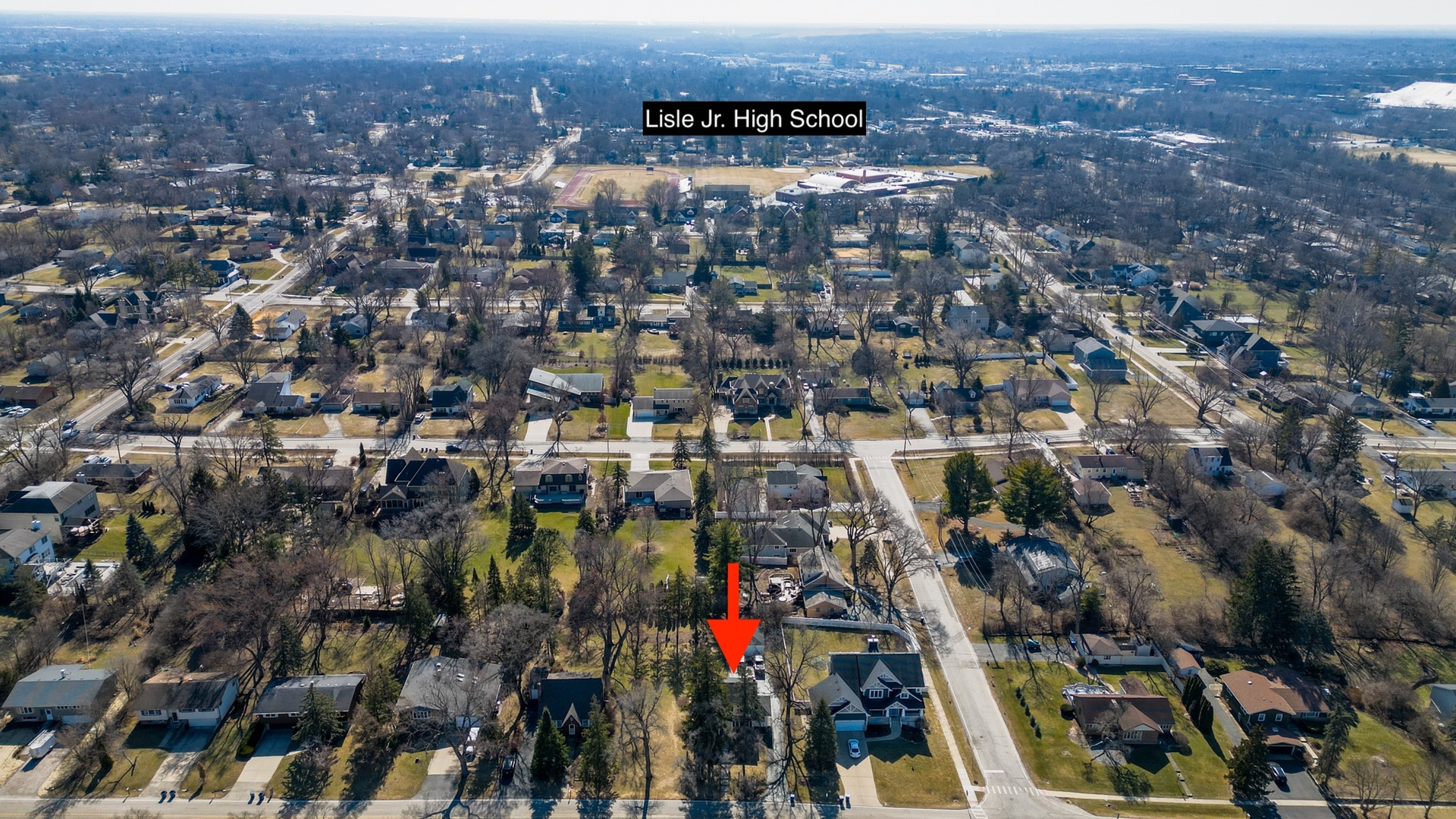 917 Division Street, Lisle, IL 60532