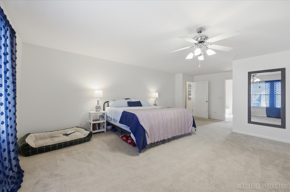 1155 Corrigan Street, Elburn, IL 60119