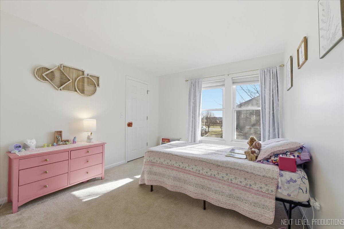 1155 Corrigan Street, Elburn, IL 60119